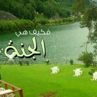 كل ﻣا ﺃﺗﻤﻨاه 
ﺃﻥ ﻳكتب ﻓﻲ ﺻﺤﻴﻔﺘﻲ : ﻋﺘﻘﺖ ﻣﻦ ﺍﻟﻨّﺎﺭ


                                   ु ु✿ ु ुु