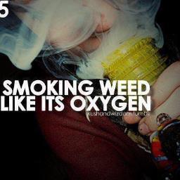 Inhale the good shit, exhale the bullshit