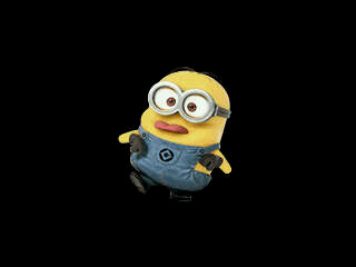 Follow aja dolo