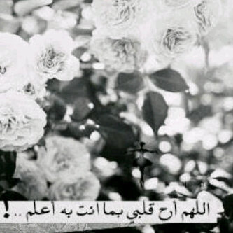 تابعوني على حسابي الجديد @al7netam57