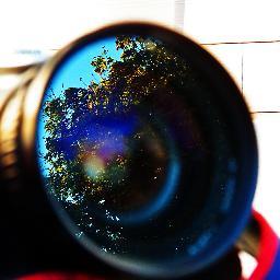 StolenRecPhotos's profile picture. 