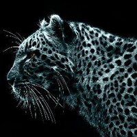 Anik Debnath (@adtiger2013) 's Twitter Profile
