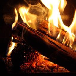 _JvRv's profile picture. Successfully avoiding news cycles since 2011.