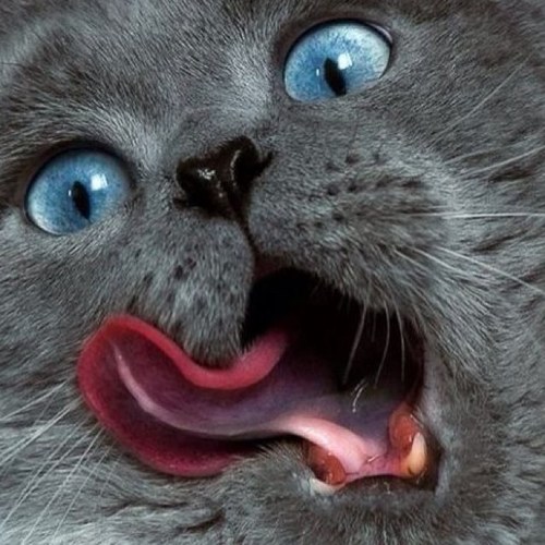 Love all my followers! You guys are rhe best!