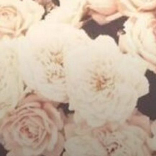 duckalsocover's profile picture. no