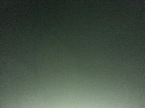 Doğduğum gün hastanede doğan tek erkek bendim.Bu gurur ile büyüdüm.Ailem 'Şehzade' dedi.Babam da bu durumda Padişah.Ama sen beni THE whip GUY olarak bil NOKTA