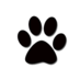 Rotolo Cross Country (@rms_xc) Twitter profile photo Rotolo Cross Country (@rms_xc) Twitter profile photo