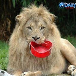 Trying to fix stupid, one dumbass at a time! Poker professional. Lover of football. Both kinds! Go Dawgs! Liverpool 4ever. You’ll never walk alone!