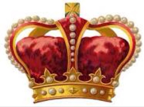 Retweeting the best tweets from the best accounts. Following the popular accounts so you dont have to
