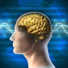Life coach and clinical hypnotherapist working with anxiety, weight loss, depression, motivation and sleep disorders. http://t.co/muL1FOROcC