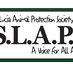SLAPS (@stluciaanimals) Twitter profile photo SLAPS (@stluciaanimals) Twitter profile photo
