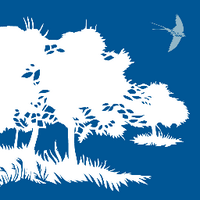 Natural Death Centre (@ndccharity) 's Twitter Profile Photo Natural Death Centre (@ndccharity) 's Twitter Profile Photo