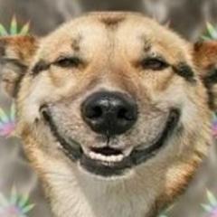 naobuweiy's profile picture. Это все