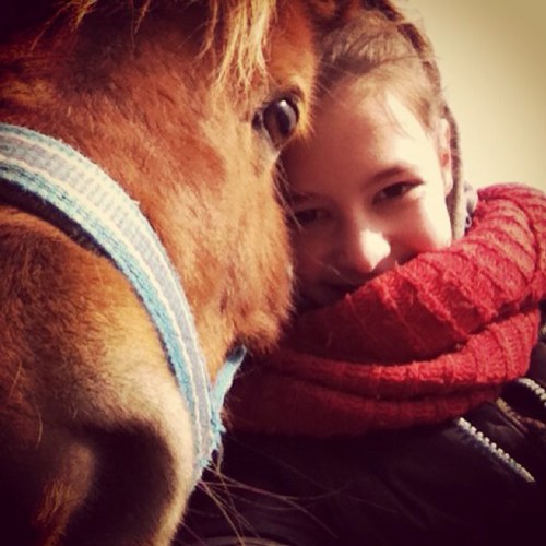 13Y • Thomas • Lotte • Horse