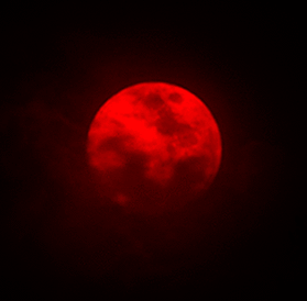 so_ofaraway's profile picture. If you want to be good - learn from the best!