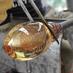 Ruskin Glass Centre (@ruskinglassctr) Twitter profile photo