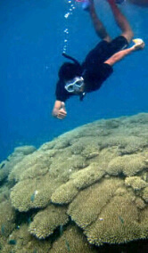 10Jan96 , Allah always with me (˘⌣˘)ε˘`) .