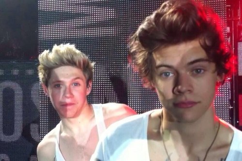 All the boys are my favorites, but i just love Harry & Niall  #Directioner #NarryGirl