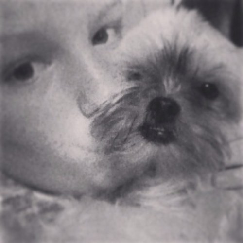 TheCharliexx's profile picture. @charlies845 -ONE I USE THE MOST @Thedappy&@officialtulisa&@iamfazer Love them millionsssss