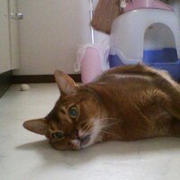 おざけん (@1975ozaken) 's Twitter Profile