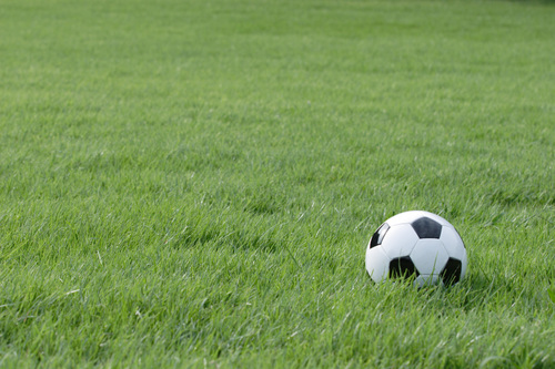 サッカーが大好きです。リフティングは一日中…できません。むしろ10回くらいしかできません。笑