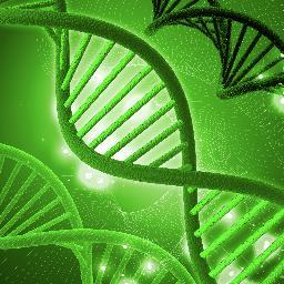 Aqui, informações sobre Organismos Geneticamente Modificados-OGM e transgênicos. 
Here, information about GMO and transgenics. 
Contato: ogmbrasil@gmail.com