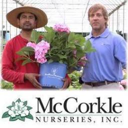 Plants, Wholesale Nursery, Tutorials, Gardening, Tips, Landscaping