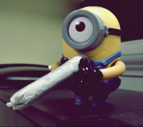 Just follow and you can get a Minion or a Banana!