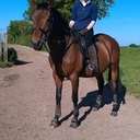 Kay Downey - @downey_kay - Twitter