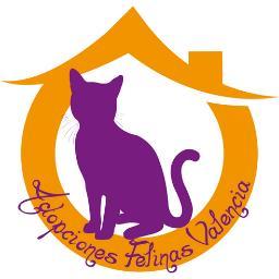 Adopciones Felinas Valenciaさんのプロフィール画像