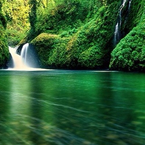 sabinita17's profile picture. 