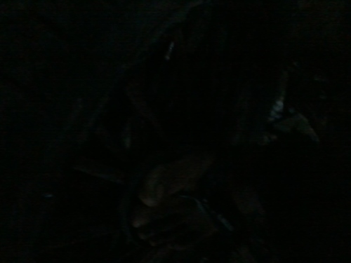 NartiCf's profile picture. NYEKEK !!!