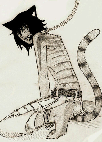 Hi my name is Jinx will you love me #18 #single #neko #ageless (18+Rp) #happy all the time but don't make me mad you won't like when I'm ripping you apart