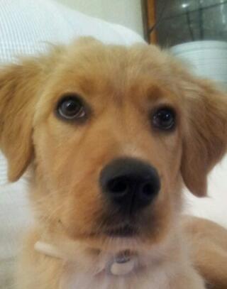 carmentriguerog's profile picture. 