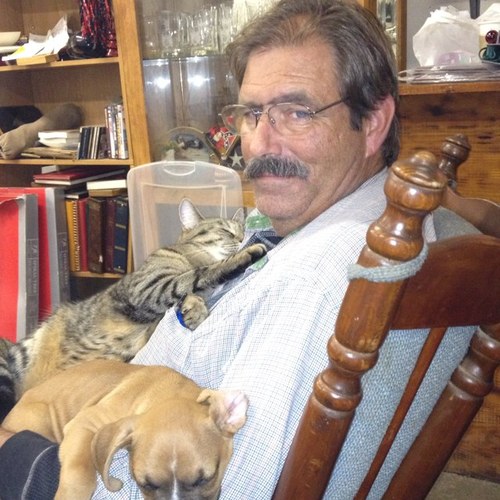 accessdavidc's profile picture. I love this country. I will stand to get it back to what our fore fathers intended for it to be. God bless us all!!