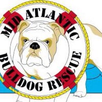 MidAtlanticBulldogRescue(@MidAtlanticBDR) 's Twitter Profile Photo
