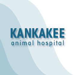 KankakeeAH's profile picture. At Kankakee Animal Hospital, we treat your pets like the valued family members they are.