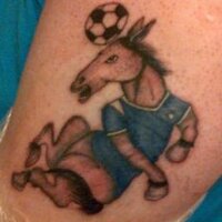 Dale Finch (@finchybas) 's Twitter Profile