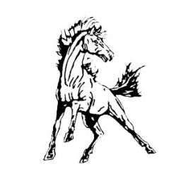 CairoDurhamHigh's profile picture. 