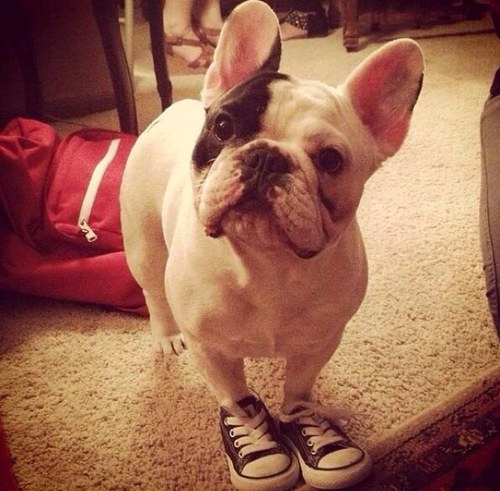 Navitch666's profile picture. I'm a Metalhead!! Problem?