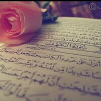 مًسِـکْ أّلَخِـتٌـأّمً🕊 (@mis3asal) Twitter profile photo