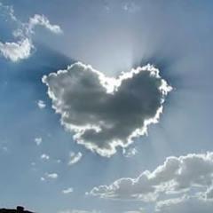 statewonder's profile picture. ESTO NO HA TERMINADO.