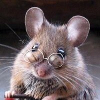 Ellen van Westen (@muisstil) 's Twitter Profile Photo Ellen van Westen (@muisstil) 's Twitter Profile Photo