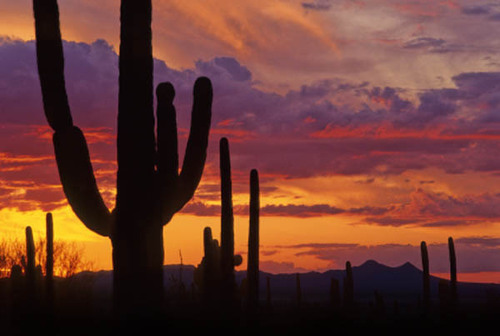 Bringing you beautiful, Arizona skies