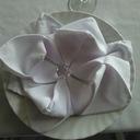 Luz Ocasio - @LuzOcasio1 - Twitter