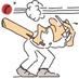 The Cricket Captain (@cricket_captain) Twitter profile photo