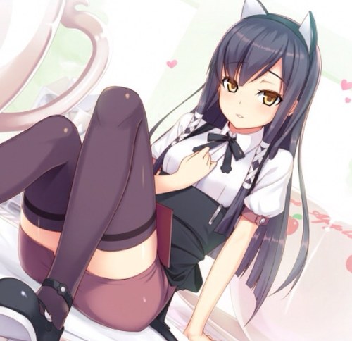 AloisStalker's profile picture. Im Angel ^^ dont interupt my Alois stalking or you will have hell to pay! #Single #Neko #13 #Insane