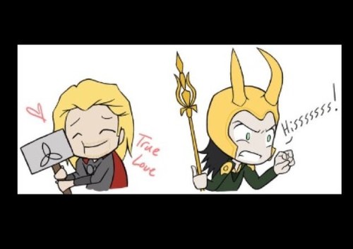 Tweets from Loki and Thor's lives. Living together just might be the biggest adventure we've taken on! XO - Loki and Thor