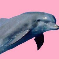 no plz (@tbhplzdont) 's Twitter Profile Photo