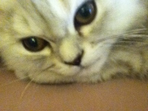 Marimzah's profile picture. 